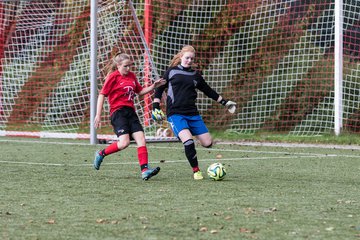 Bild 76 - Frauen Lieth : Halstenbek-Rellingen : Ergebnis: 2:0